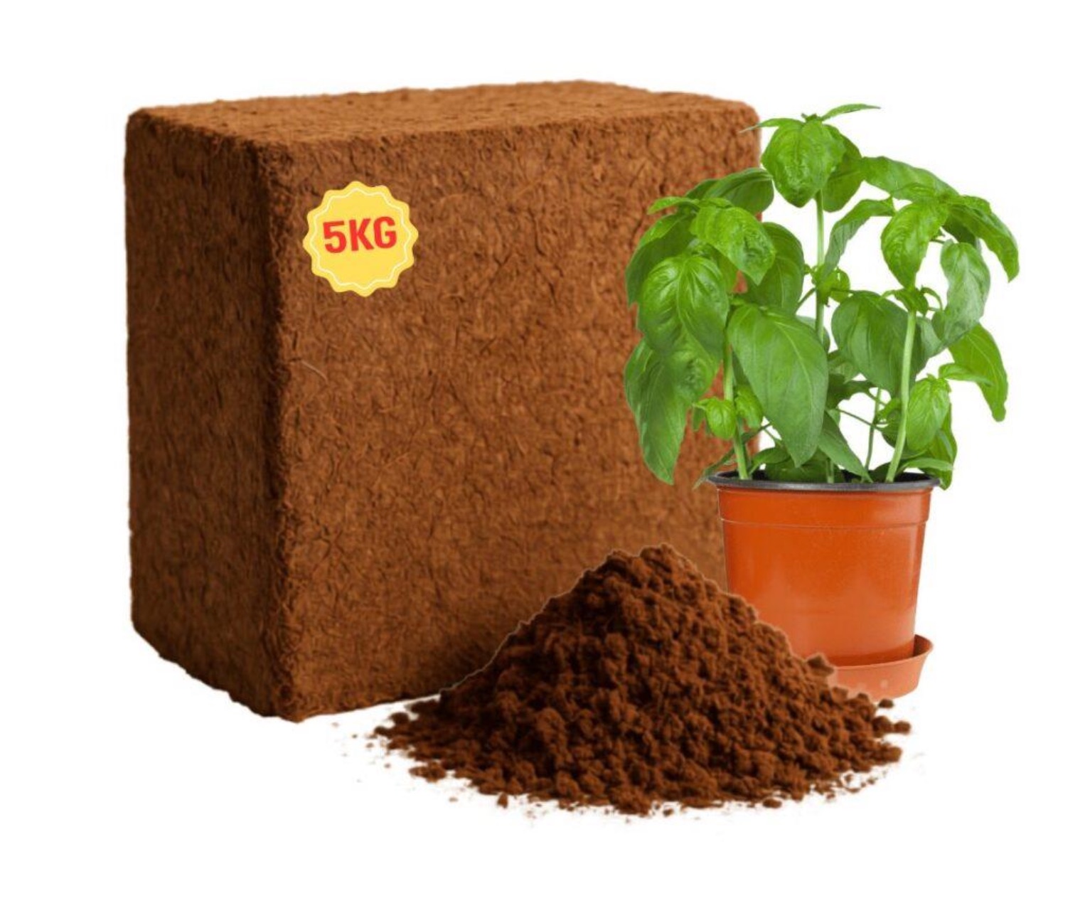 Five kilogram compressed coco peat block with loose peat and a plant