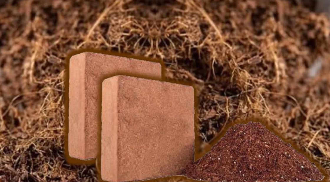 Coco peat blocks, loose fibre and coir substrate products