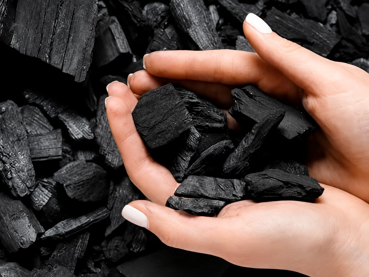 Coconut Shell Charcoal