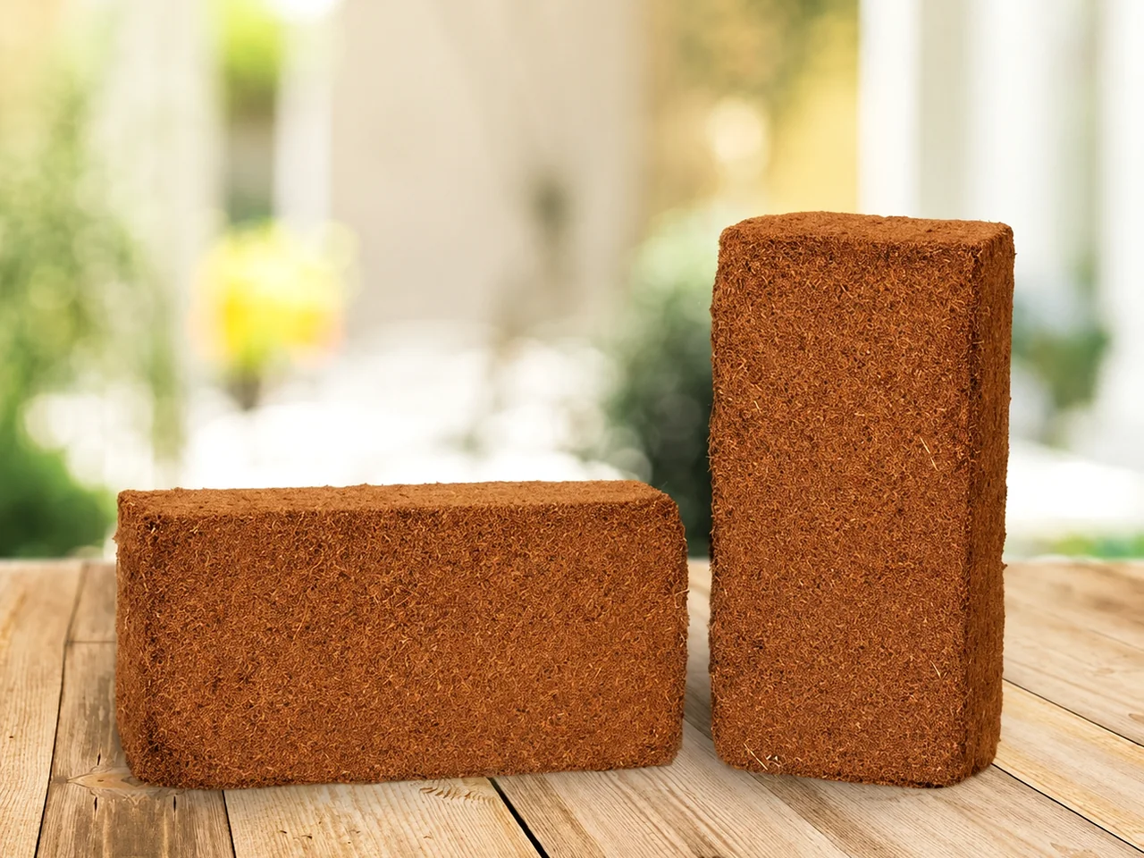 Coco Peat 5 kg Blocks