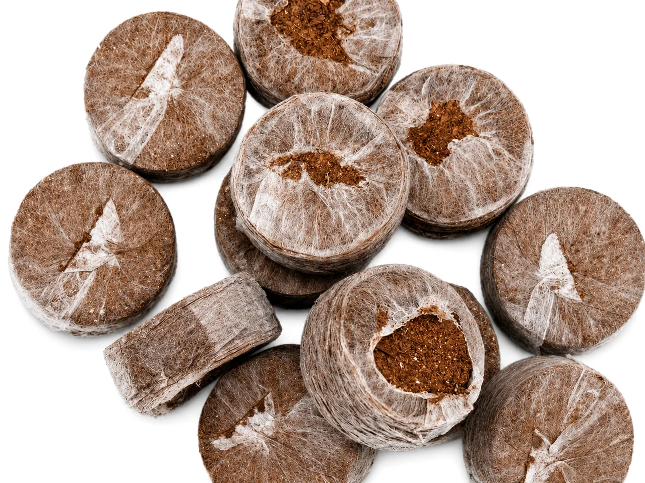 Coir Discs and Briquettes
