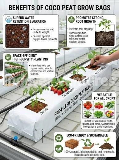 Benefits of coco peat grow bags: original supplied infographic