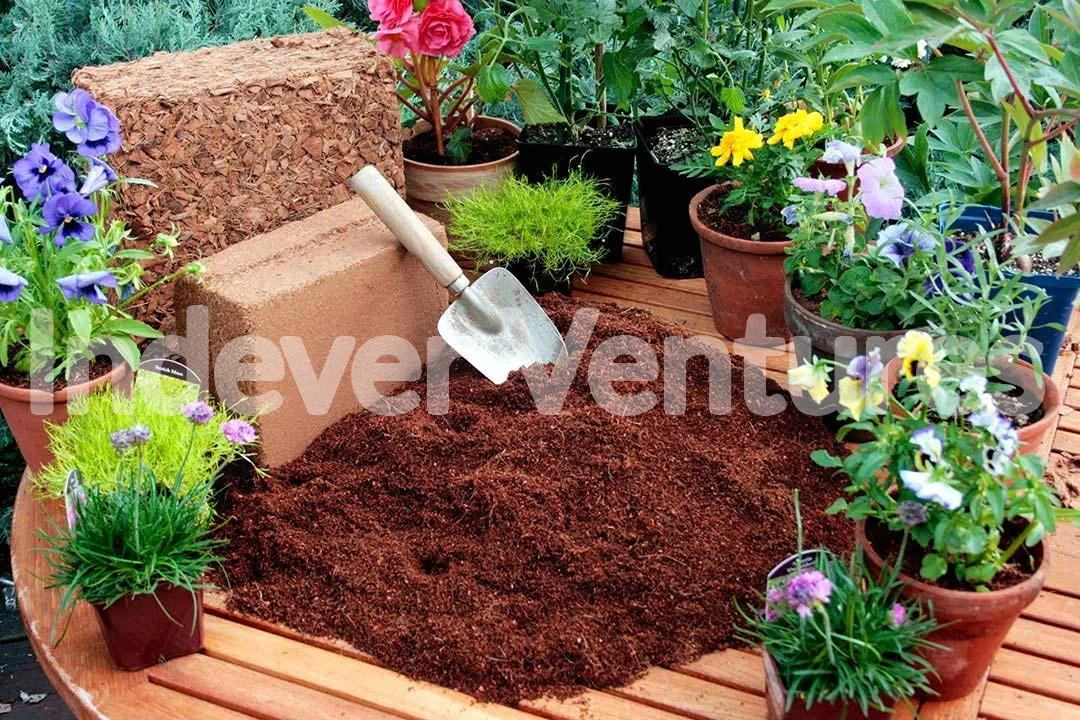 Cocopeat blocks and garden plants